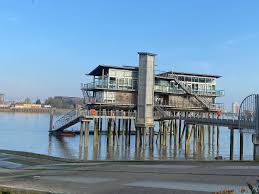 Image result for Greenwich Yacht Club Limited