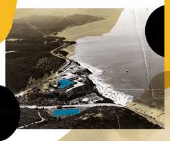 Image result for Palace Eagles Octopush Club