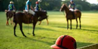 Image result for Taunton Vale Polo Club