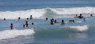 Image result for Hull Hurricanes