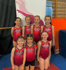 Image result for Lincoln Gymnastics Club