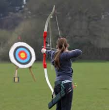 Image result for Blue Arrows Archery Club