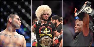 Image result for American Kick Boxing Club