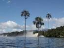 Canaima - Venezuela Tuya