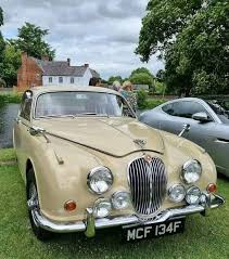 Image result for Ascot Fawn 1968 Jaguar