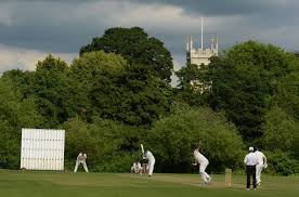 Image result for Appleton Cricket Club