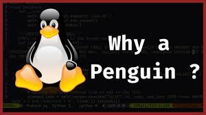 Image result for linux tux