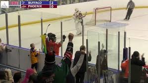 Image result for Basingstoke Buffalo