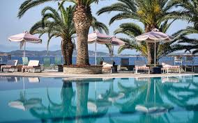 Image result for Palace Eagles Octopush Club