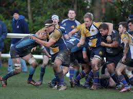 Image result for Cobham Rugby Club