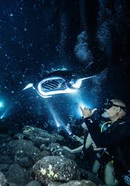 Image result for Manta Divers Sub-Aqua Club