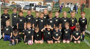 Image result for Holbeach United Services Bowls Club