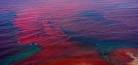 NOAA's National Ocean Service: Harmful Algal Blooms