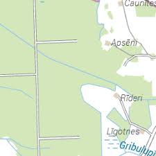 Attēlu rezultāti vaicājumam “Licea testudinacea sessile”