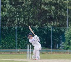 Image result for Hyde Cricket Club