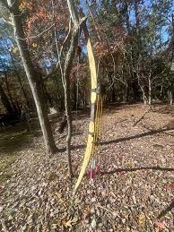 Image result for Oak-Wood Bowmen