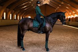 Image result for Patchett`s Green Riding Club