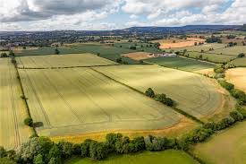 Image result for Knayton F C