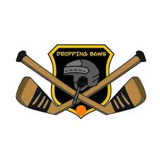 Image result for Ealing Eagles Ball Hockey Club