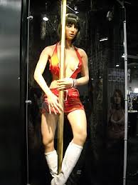 Image result for RealDoll