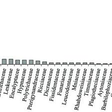 Attēlu rezultāti vaicājumam “Leiocolea heterocolpos”