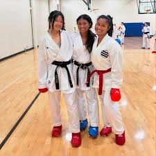 Image result for Shotokan Karate