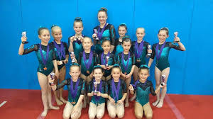 Image result for South Essex Gymnastics Club