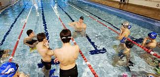 Image result for Lutterworth Swimming Club