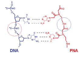 Image result for backmodel terzi