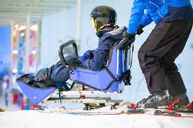 Image result for British Ski Club For The Disabled