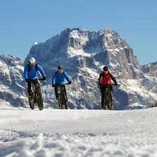 Image result for Powrock