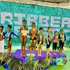 Image result for Asymmetrix Gymnastics Club