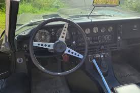 Image result for Fern Gray 1973 Jaguar