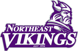 Image result for North East Vikings