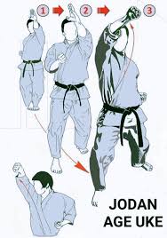 Image result for Jodan Karate