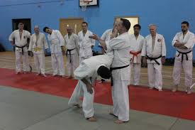 Image result for Bracknell Aikido Club