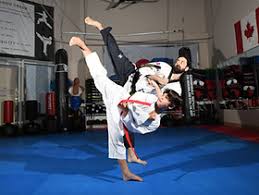 Image result for Bytomic Tae Kwon Do Windsor