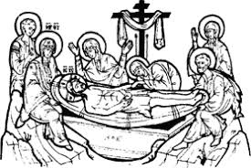 Attēlu rezultāti vaicājumam “Epirhoe tristata”