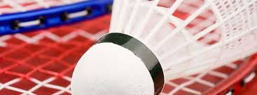 Image result for Reading Youth Junior Badminton Club