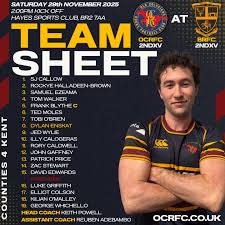 Image result for Colfeian Sports Club