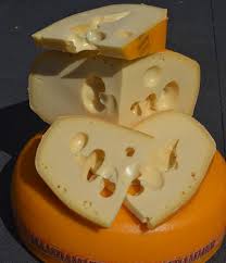 Image result for maasdammer