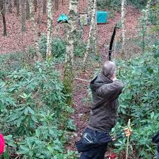 Image result for Row Brow Field Archery