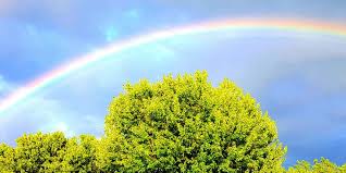 Znalezione obrazy dla zapytania rainbow