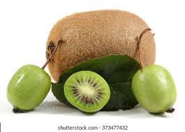 Attēlu rezultāti vaicājumam “Actinidia kolomikta fruit”