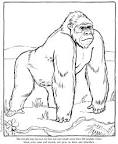 Gorilla coloring page