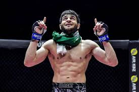 Image result for Wolverine MMA