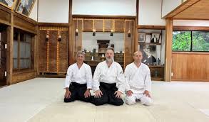 Image result for Goryukai Aikido Yoshinkan (Chichester)