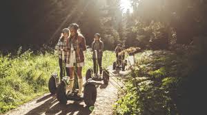 Image result for The Go Ape Experience (Delamere Forest)