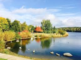 Image result for Ruislip Snorkelling Club