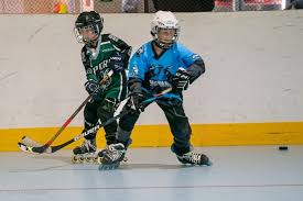 Image result for Vipers Roller Hockey Team